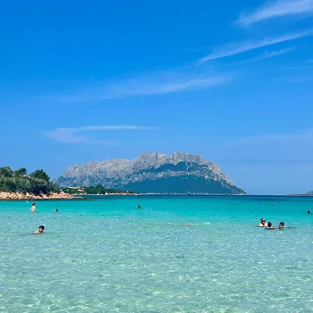 Fede House Olbiamare Apartmán *